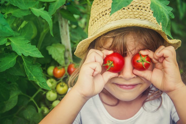 A child in a garden with tomatoes. Selective focus.