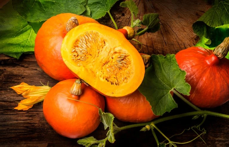 Pumkins hokkaido on the wooden background close up